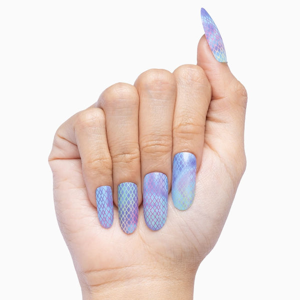 Indigo Illusion