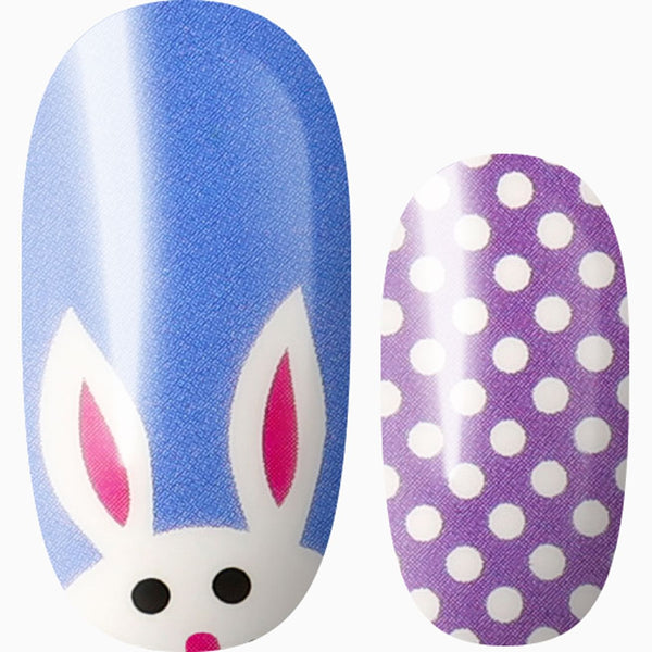 Funny Bunny