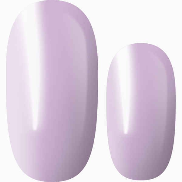 Lilac Blush