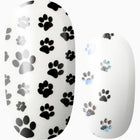 Anything is Paw-sible (transparent)