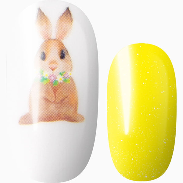 Sunny Bunny
