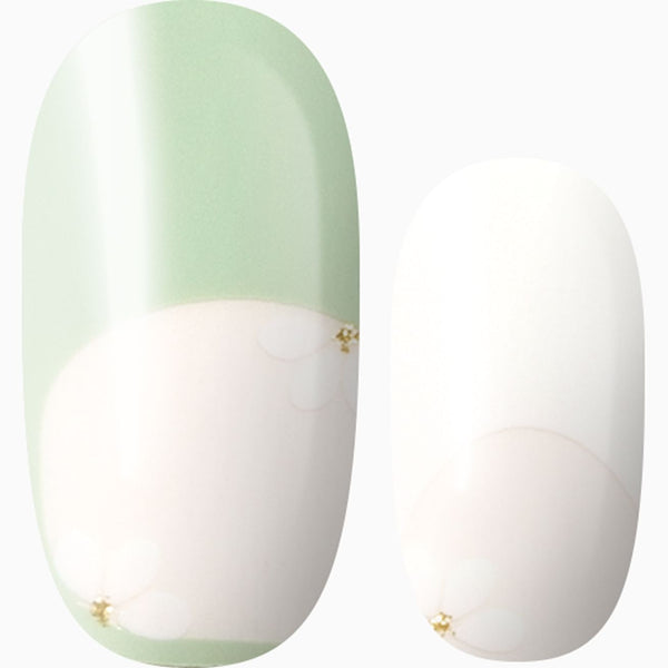 Fresh As A Daisy (transparent)