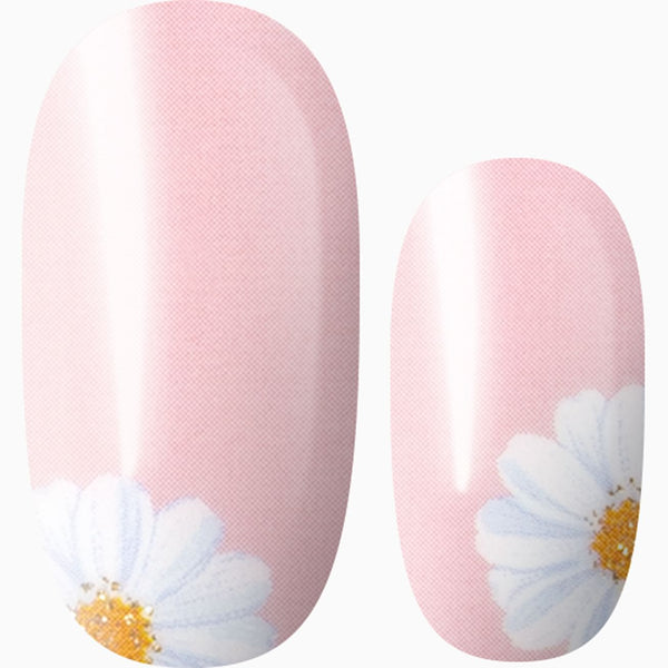 Daisy Daydream