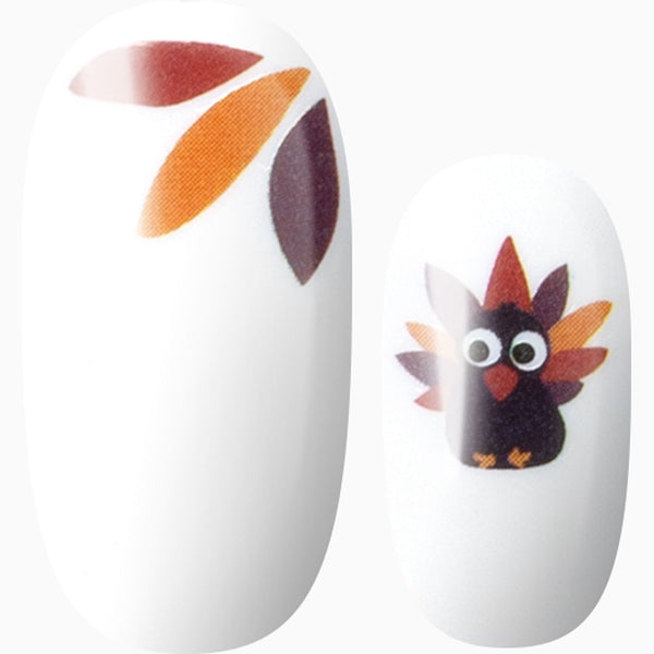 Oh My Feathers!