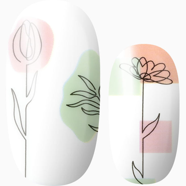 Serene Have