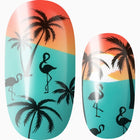 Paradise Palms