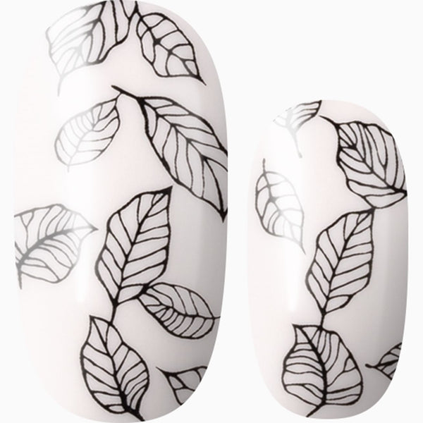 First Leaves Of Autumn